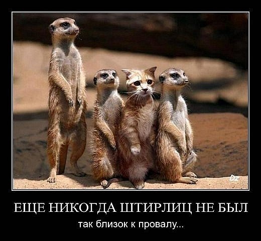 http://cs4680.vkontakte.ru/u108603836/121247268/x_acb9521b.jpg